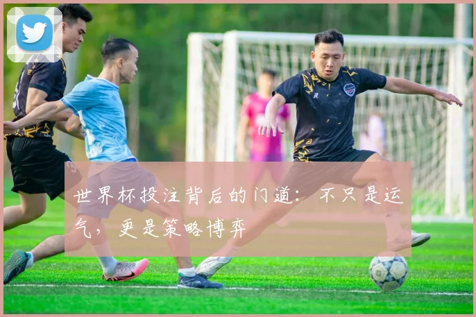 世界杯投注背后的门道:不只是运气,更是策略博弈