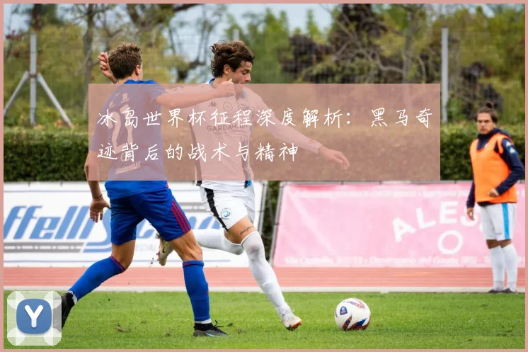 冰岛世界杯征程深度解析:黑马奇迹背后的战术与精神