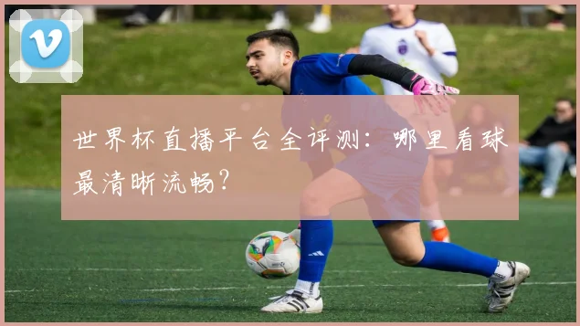 世界杯直播平台全评测:哪里看球最清晰流畅?