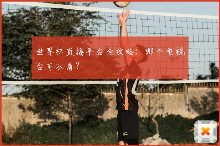 世界杯直播平台全攻略:哪个电视台可以看?