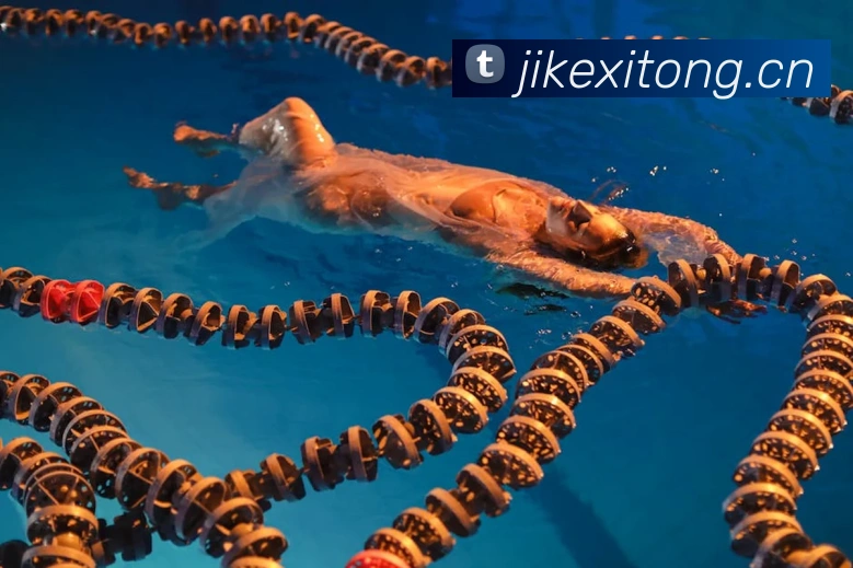 熊猫体育官方网站平台生态图